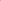 Daisy Pink - Emeralds 
