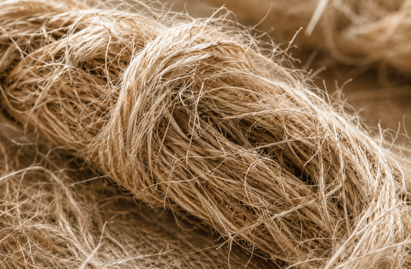 HEMP
