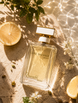 Luxe Sauvage