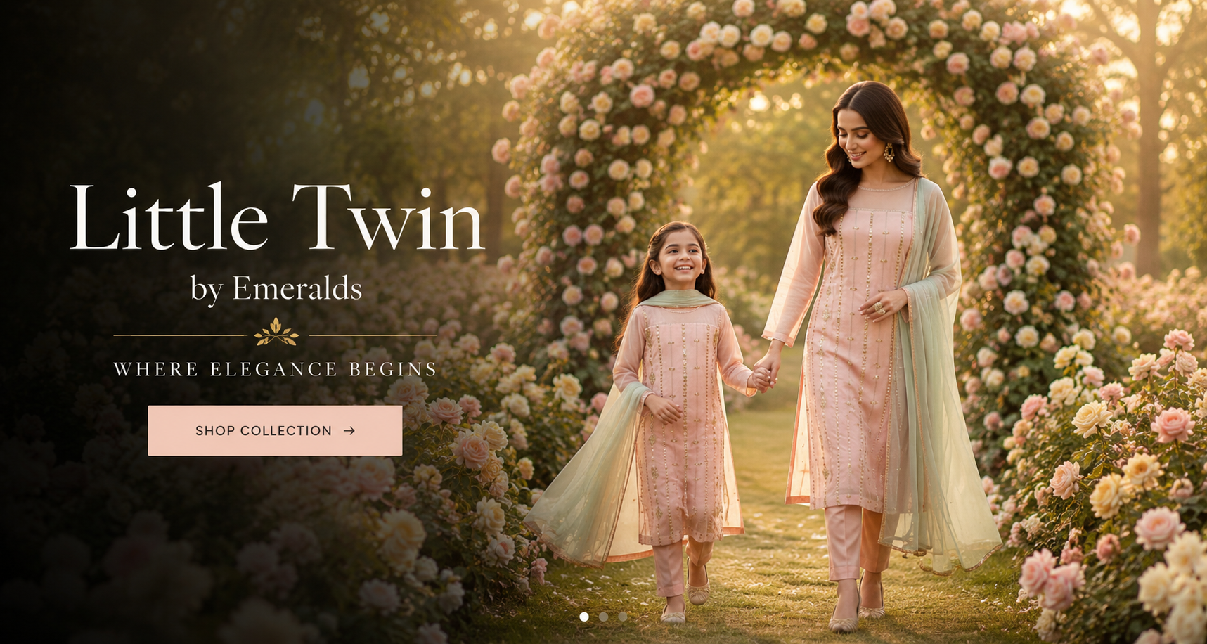 Little Twin Desktop Banner