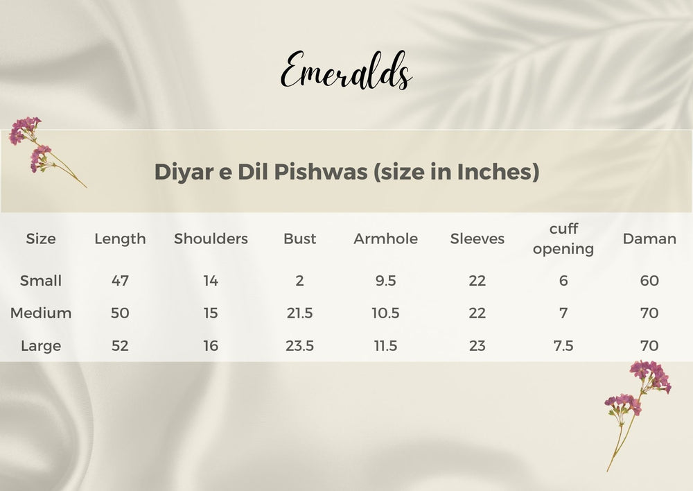 Diyar-e-Dil Size Guide