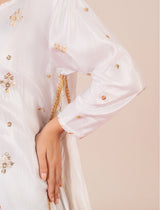 Pakistani designer embroidered dress – Starburst silk collection 2025